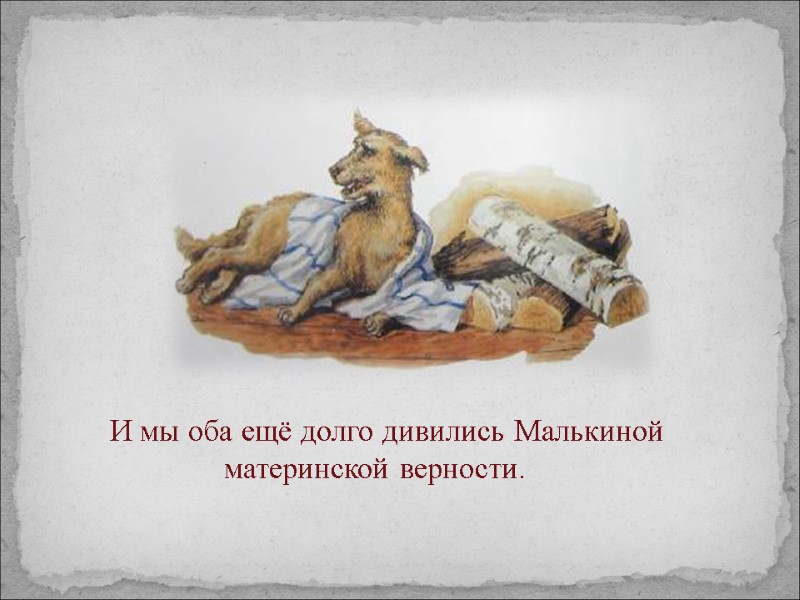 И мы оба ещё долго дивились Малькиной материнской верности.